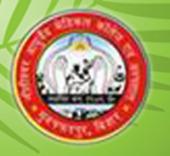 Nitishwar Ayurved Medical College & Hospital logo